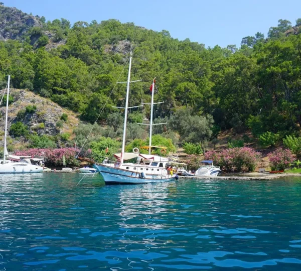 Blue Voyage Tours